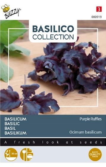 Basilicum Purple Ruffles (Ocimum basilicum) 100 zaden BU